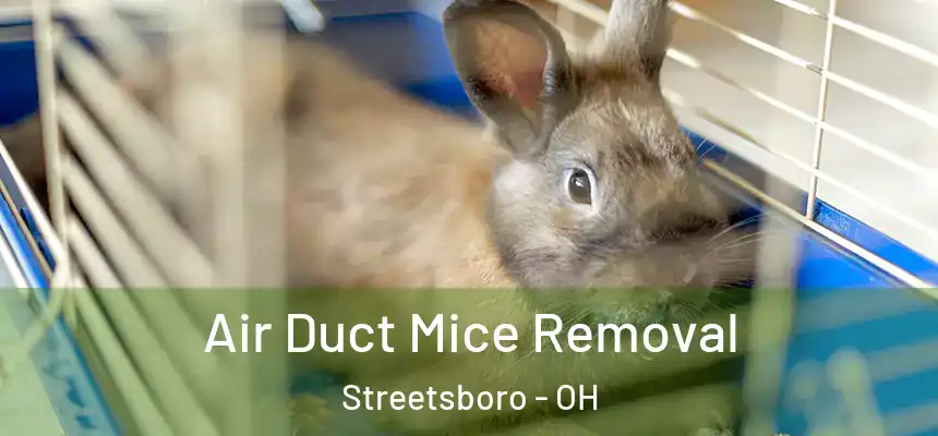  Air Duct Mice Removal Streetsboro - OH