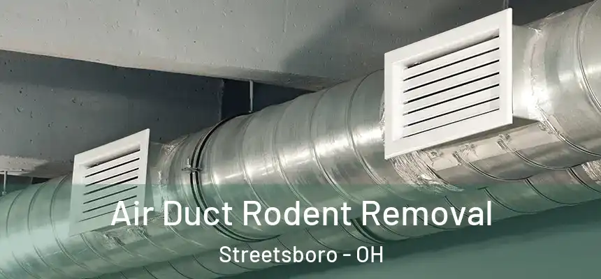  Air Duct Rodent Removal Streetsboro - OH