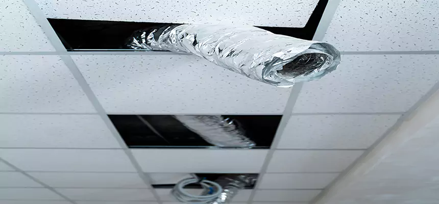 Affordable HVAC Sanitizing After Pest Removal in Streetsboro