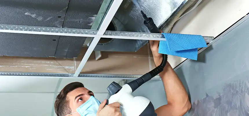 Our Air Duct Rodent Removal Services in Streetsboro, OH