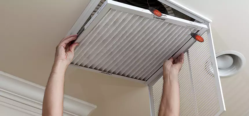 Our Insect Removal from Air Ducts Services in Streetsboro, OH