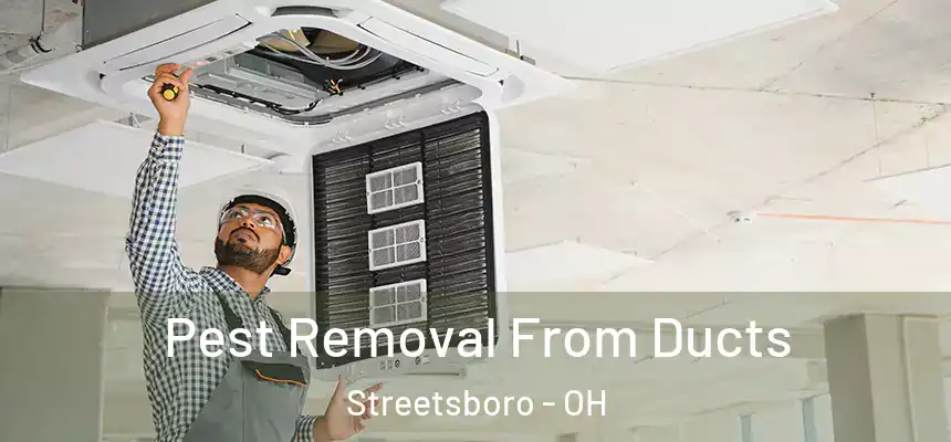  Pest Removal From Ducts Streetsboro - OH