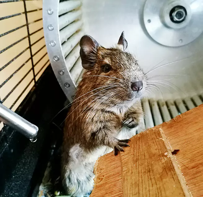 Why Homeowners & Businesses Trust Us Streetsboro, OH?